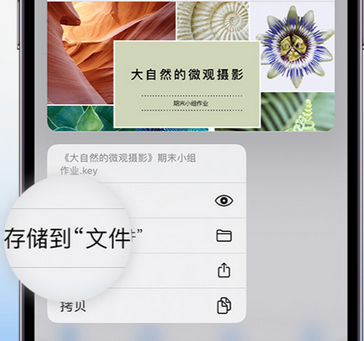 天台apple维修中心分享iPhone文件应用中存储和找到下载文件