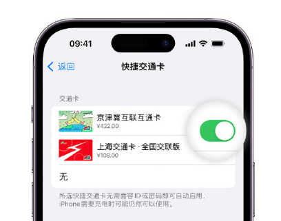 天台apple维修点分享iPhone上更换Apple Pay快捷交通卡手绘卡面 