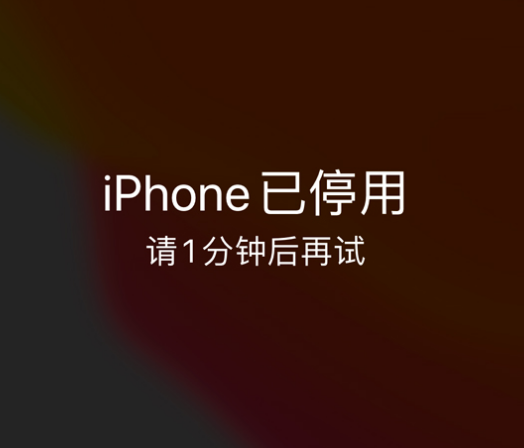 天台苹果手机维修分享:iPhone 显示“不可用”或“已停用”怎么办？还能保留数据吗？ 