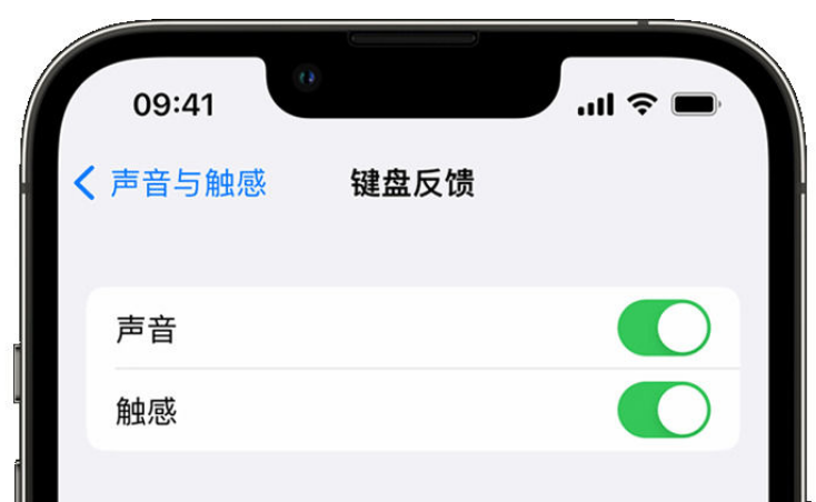 天台苹果手机维修分享iPhone 14触感键盘使用方法 