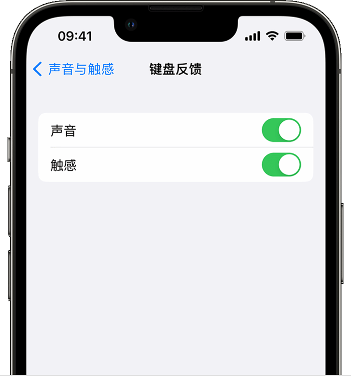 天台苹果14维修店分享如何在 iPhone 14 机型中使用触感键盘 