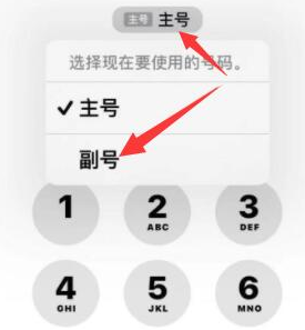 天台苹果14维修店分享iPhone 14 Pro Max使用副卡打电话的方法 