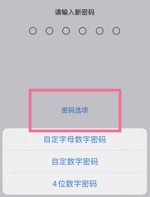 天台苹果14维修分享iPhone 14plus设置密码的方法 