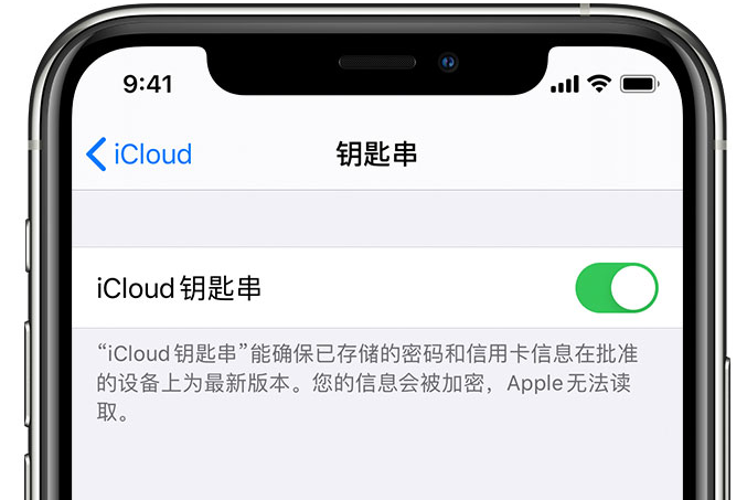 天台苹果手机维修分享在 iPhone 上开启 iCloud 钥匙串之后会储存哪些信息 