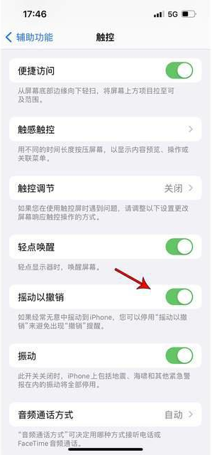 天台苹果手机维修分享iPhone手机如何设置摇一摇删除文字 